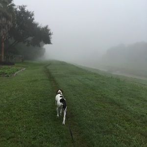 Meet your Posher, Dawn